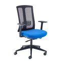 Daramus Mesh Chair – Stylish Comfort with Upholstered Seat