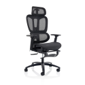 Vista Exec Mesh Chair - Ergonomic, Adjustable with Footrest