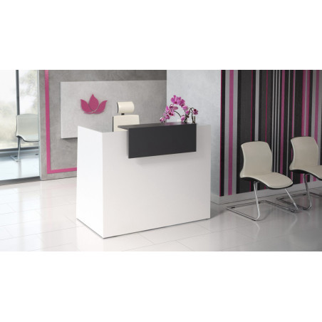 E1 Reception Unit - Compact & Stylish Modern Design