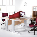 D5 Wave Desk – D5 Desk Range | NuTrend