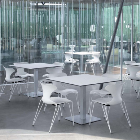 DM Pad Meeting and Conference Chair | NuTrend