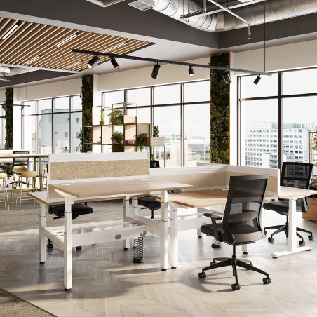 G5 Sit Stand Double Desk – 500mm Height Adjustment | Nutrend