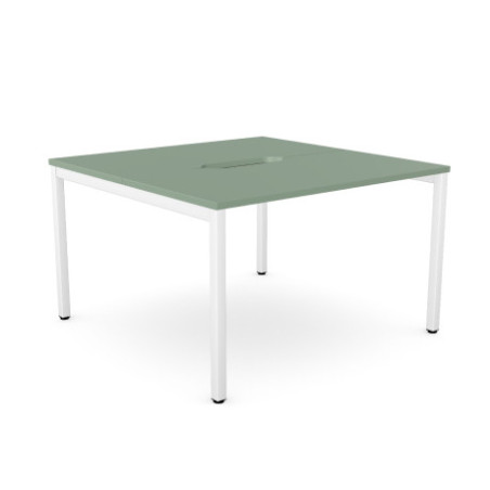 E1 Double Mono Bench Desk for Modern Offices | NuTrend