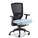 Fendal Task Chair